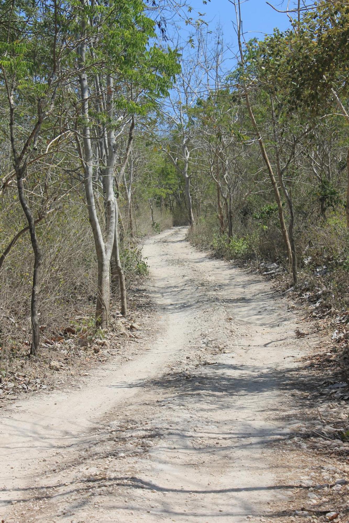 Jeeva Beloam Beach Camp Tanjung Ringgit Buitenkant foto
