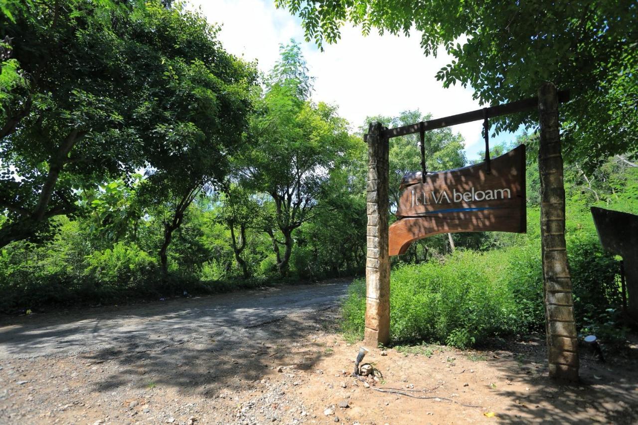 Jeeva Beloam Beach Camp Tanjung Ringgit Buitenkant foto